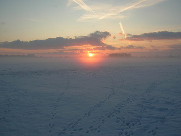 Tierspuren im Schnee-Foto: Elsche Wilts
